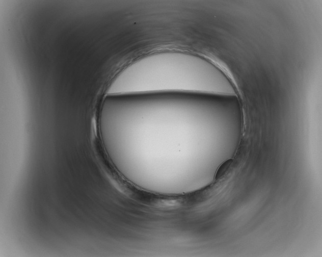 X0000114590061200910191042