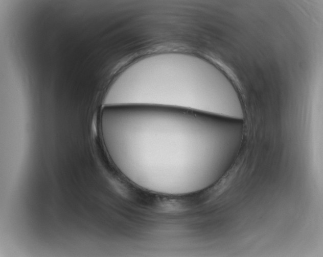 X0000114590062200910191042