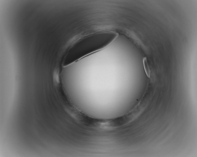 X0000114590068200910191042