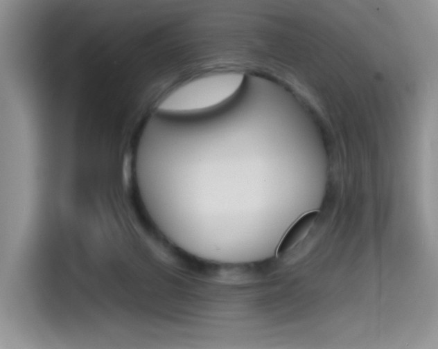 X0000114590070200910191042