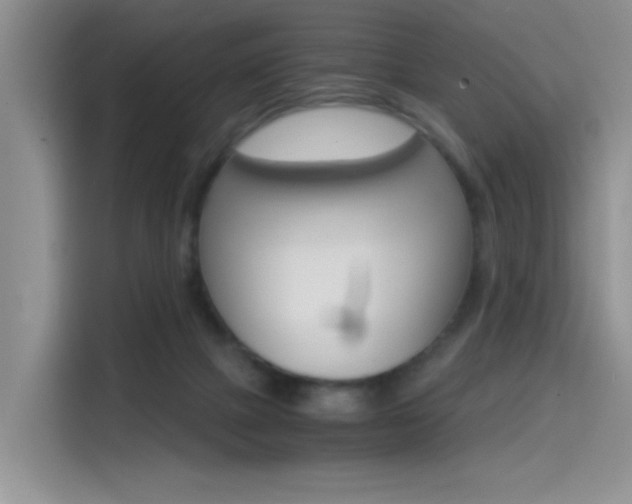 X0000114590073200910191042