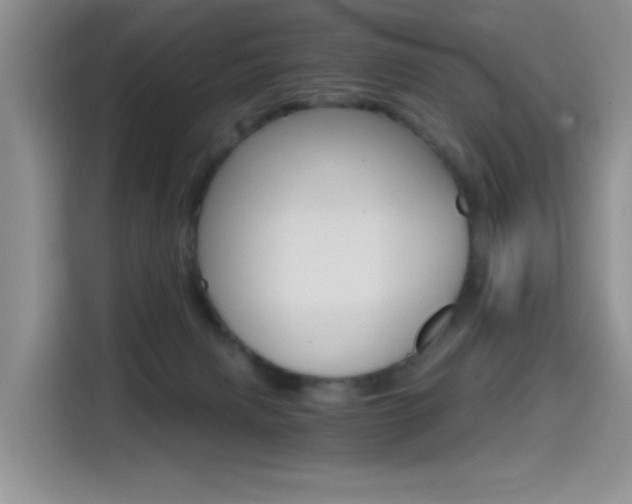 X0000114590079200910191042