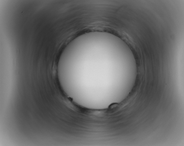 X0000114590081200910191042