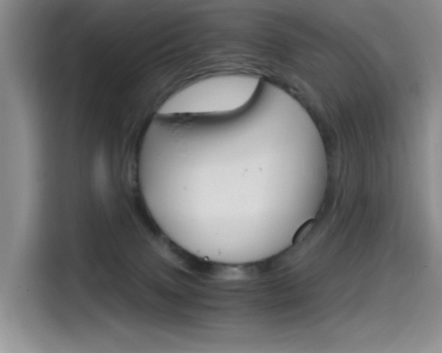 X0000114590083200910191042