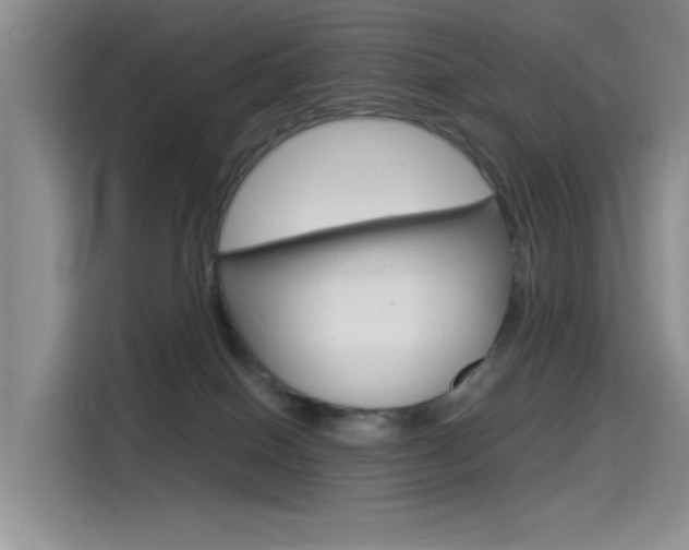 X0000114590086200910191042