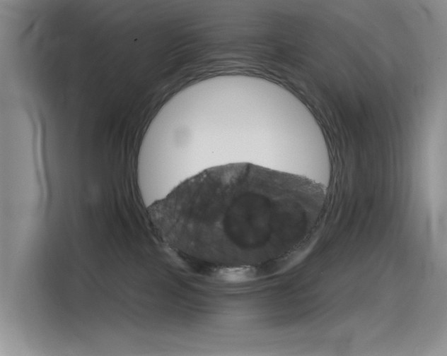 X0000114590089200910191042