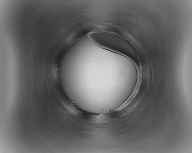 X0000114590092200910191043