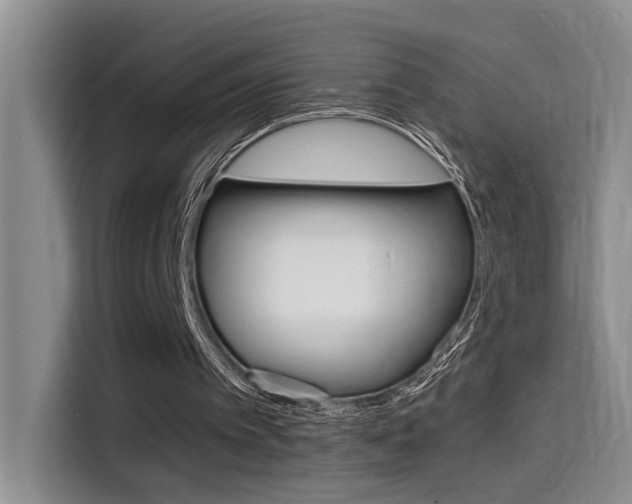 X0000114590097200910191042