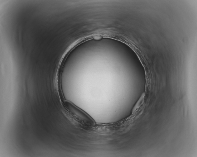 X0000114590100200910191042
