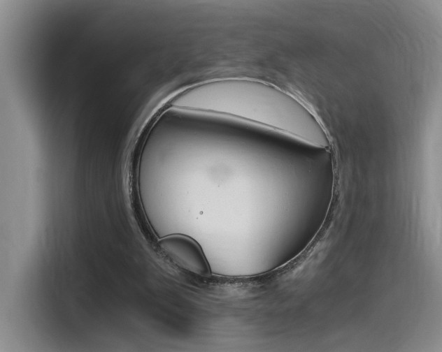 X0000114590103200910191042