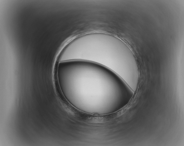 X0000114590104200910191042