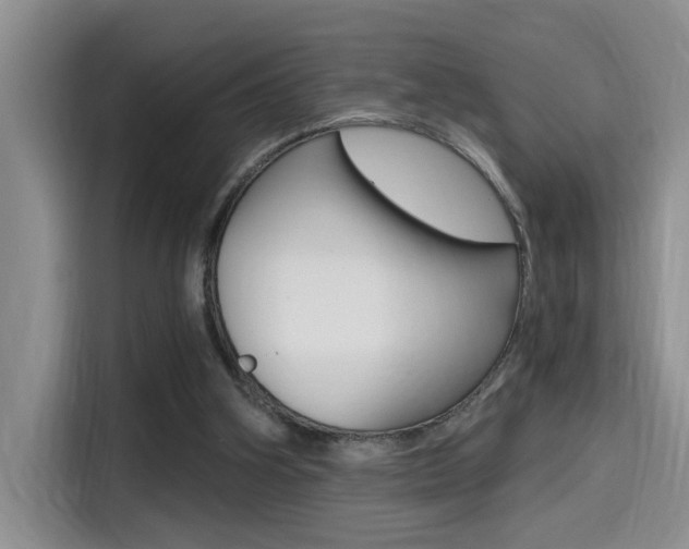 X0000114590106200910191042