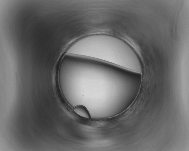 X0000114590107200910191042