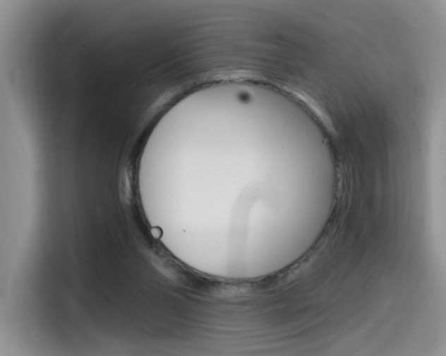 X0000114590110200910191042