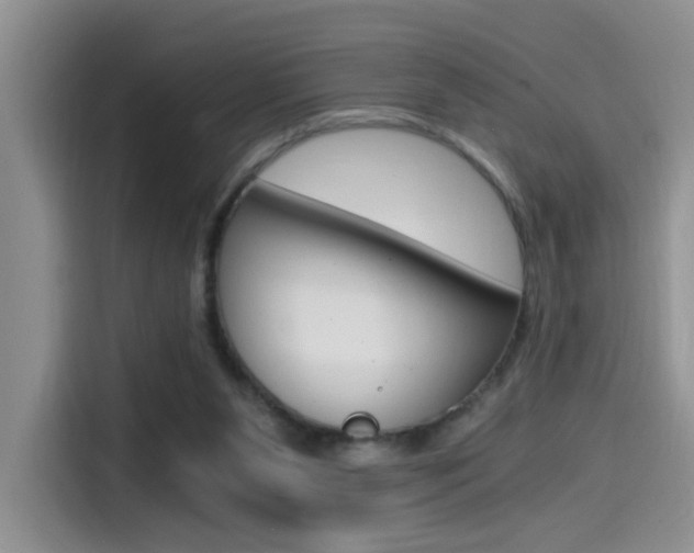 X0000114590111200910191042