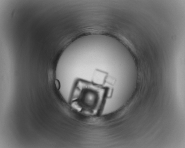 X0000114590117200910191042