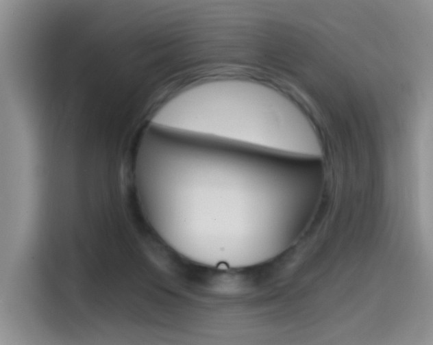 X0000114590119200910191042