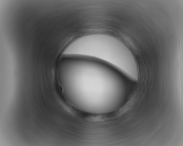 X0000114590120200910191042