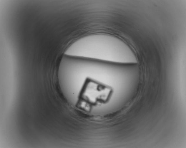 X0000114590121200910191042