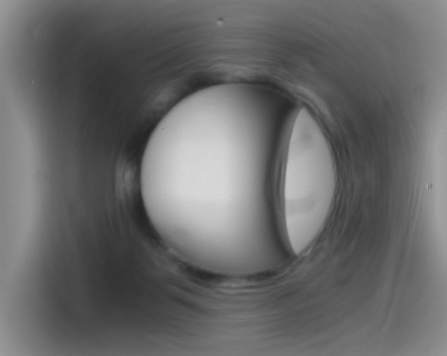 X0000114590123200910191042