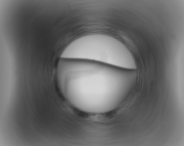 X0000114590125200910191042