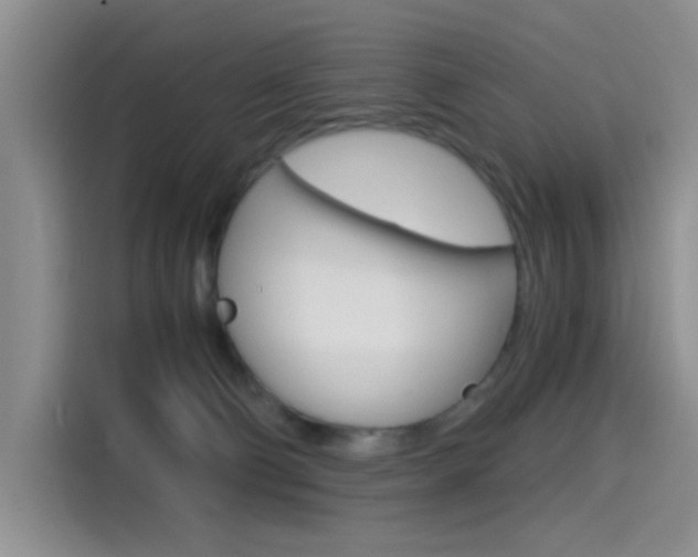 X0000114590130200910191042