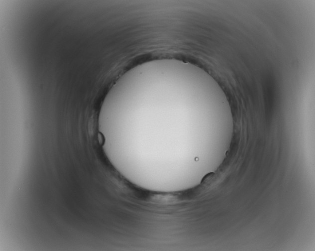 X0000114590133200910191041