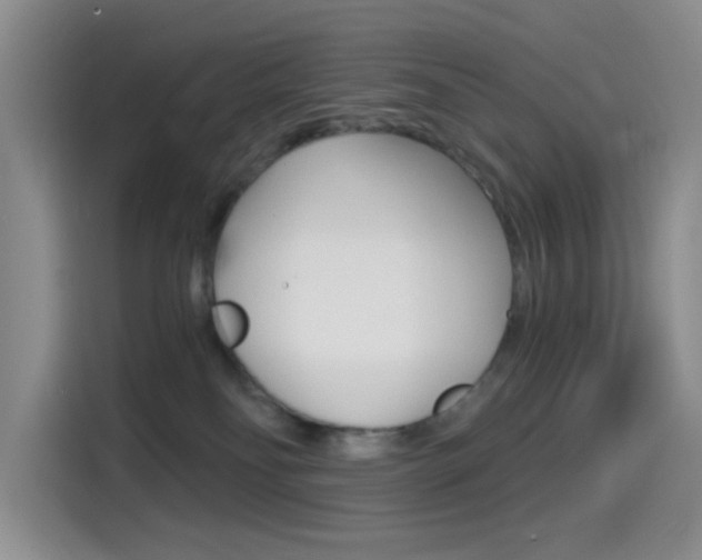 X0000114590134200910191041