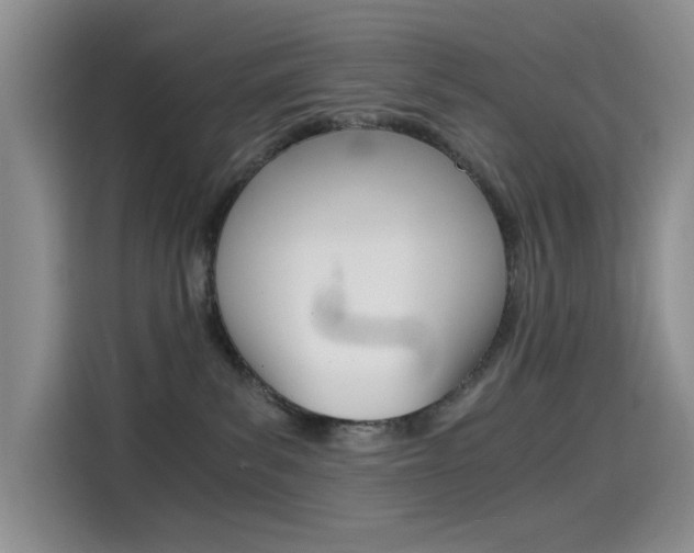X0000114590139200910191041