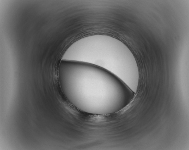 X0000114590140200910191041