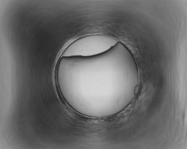 X0000114590147200910191041