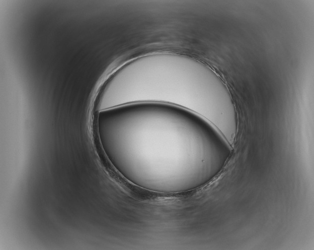 X0000114590150200910191041