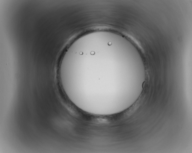 X0000114590159200910191041