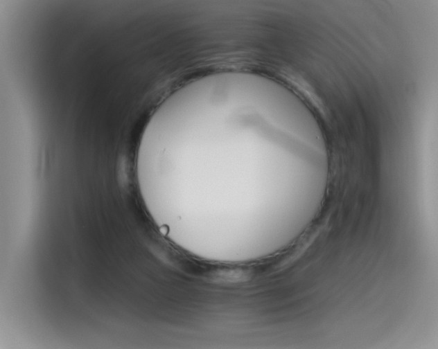 X0000114590161200910191041