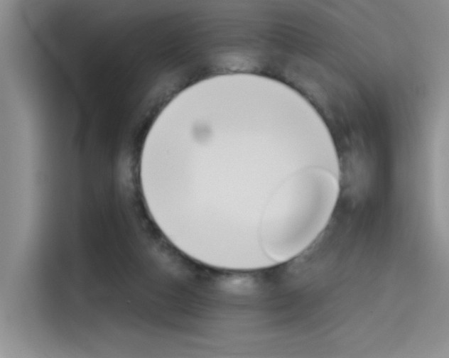 X0000114590162200910191041