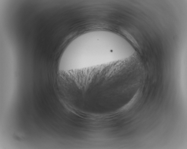 X0000114590163200910191041