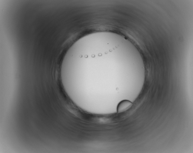 X0000114590165200910191041