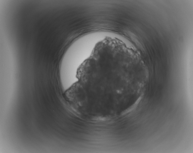 X0000114590167200910191041