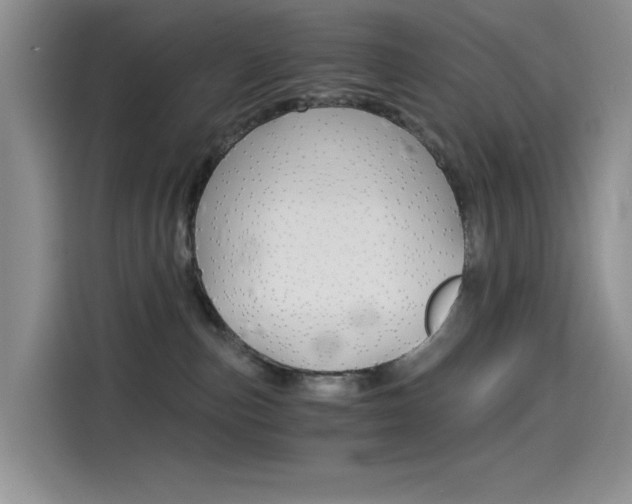 X0000114590187200910191041