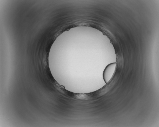 X0000114590189200910191041