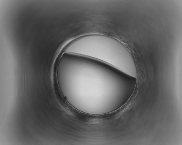 X0000114590200200910191041