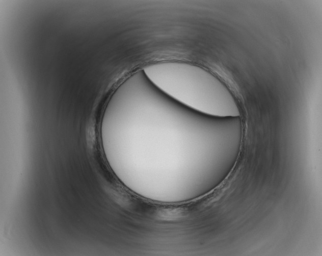 X0000114590202200910191041