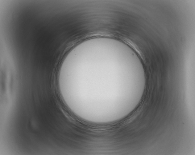 X0000114590205200910191041