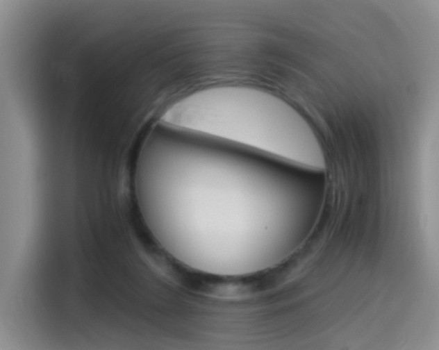 X0000114590212200910191040