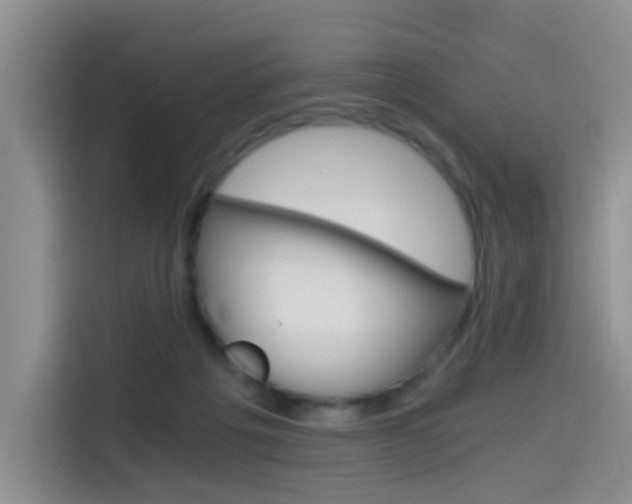X0000114590217200910191040