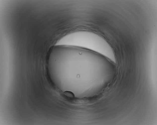 X0000114590223200910191040