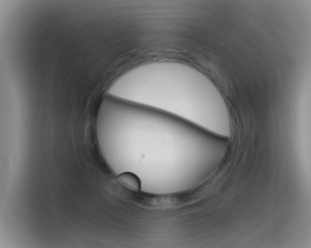 X0000114590225200910191040
