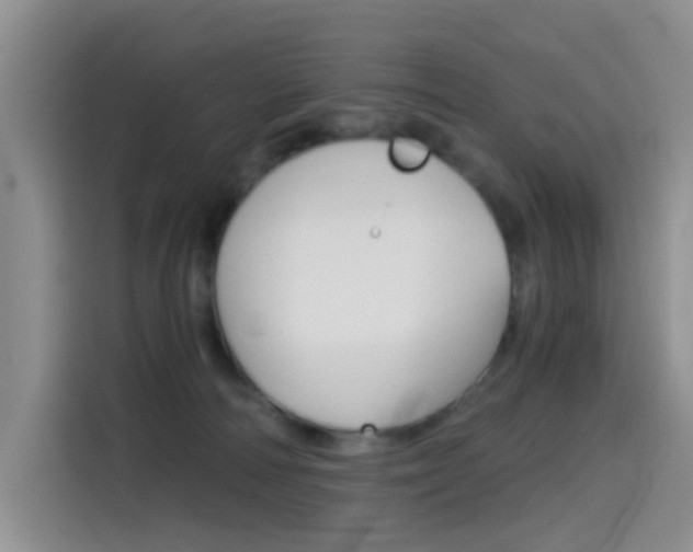 X0000114590226200910191040