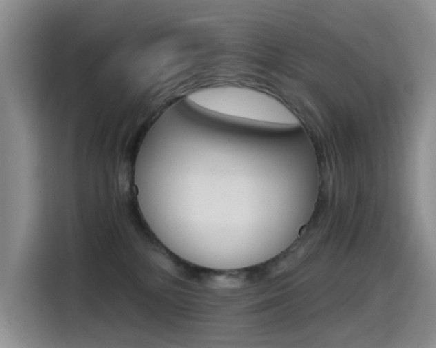 X0000114590232200910191040