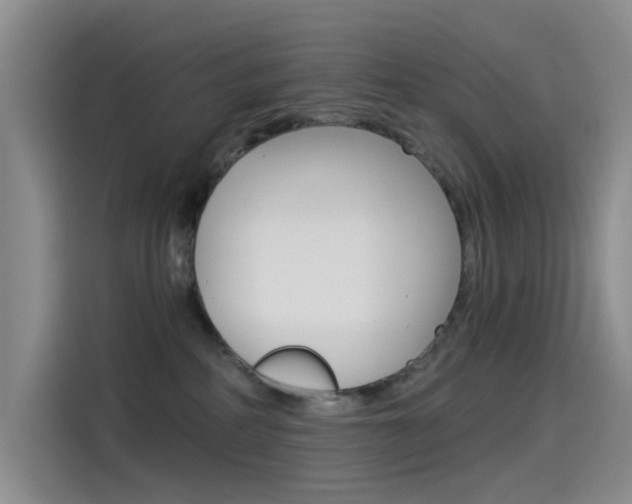 X0000114590234200910191040